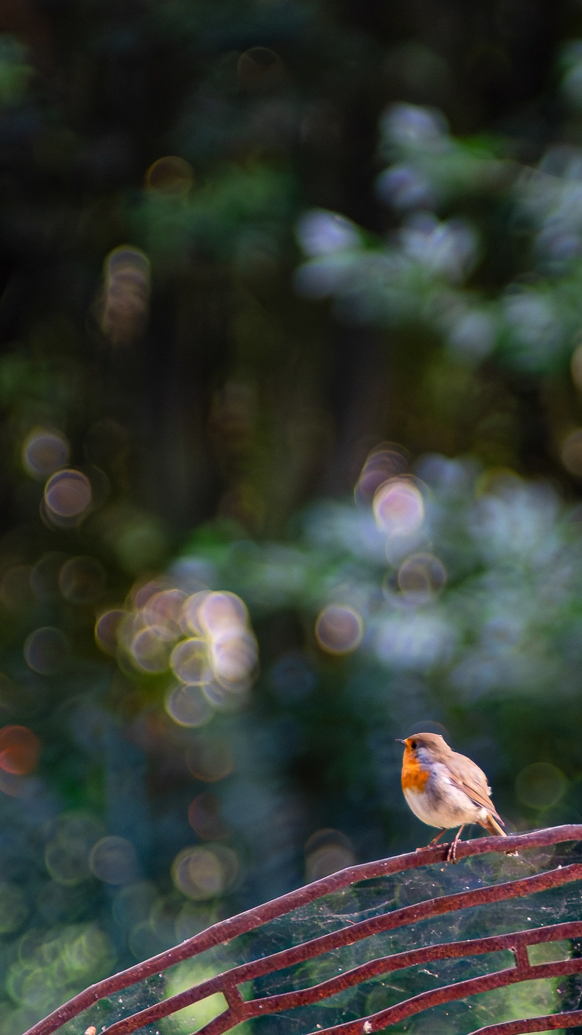 Wallpaper Preview